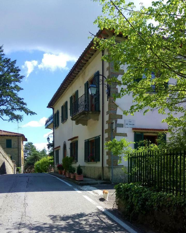 Casa Bartolacci Cozy Apartment 毕威格利亚努 外观 照片