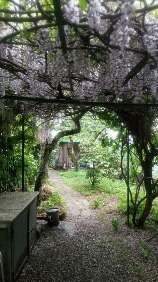 Casa Bartolacci Cozy Apartment 毕威格利亚努 外观 照片