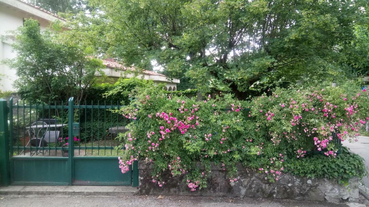 Casa Bartolacci Cozy Apartment 毕威格利亚努 外观 照片
